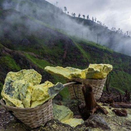 Ijen Basecamp & Homestay Ketapang  Eksteriør billede