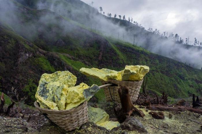 Ijen Basecamp & Homestay Ketapang  Eksteriør billede